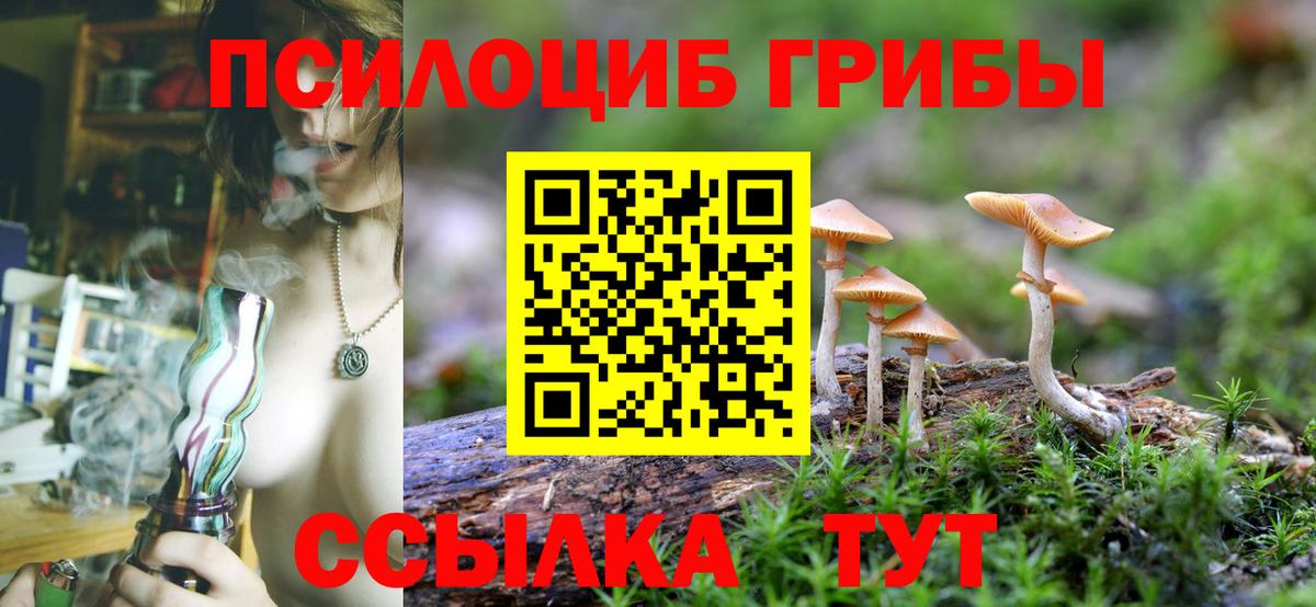 Псилоцибиновые грибы Cubensis  Вход с VPN  Новый Уренгой 